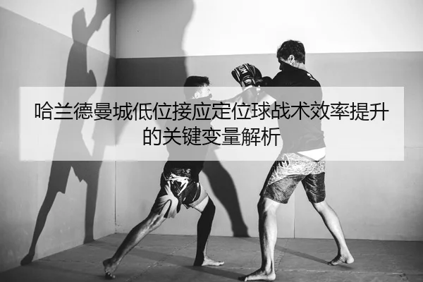 ha-lan-de-man-cheng-di-wei-jie-ying-ding-wei-qiu-zhan-shu-xiao-lv-ti-sheng-de-guan-jian-bian-liang-jie-xi-2-430.jpg